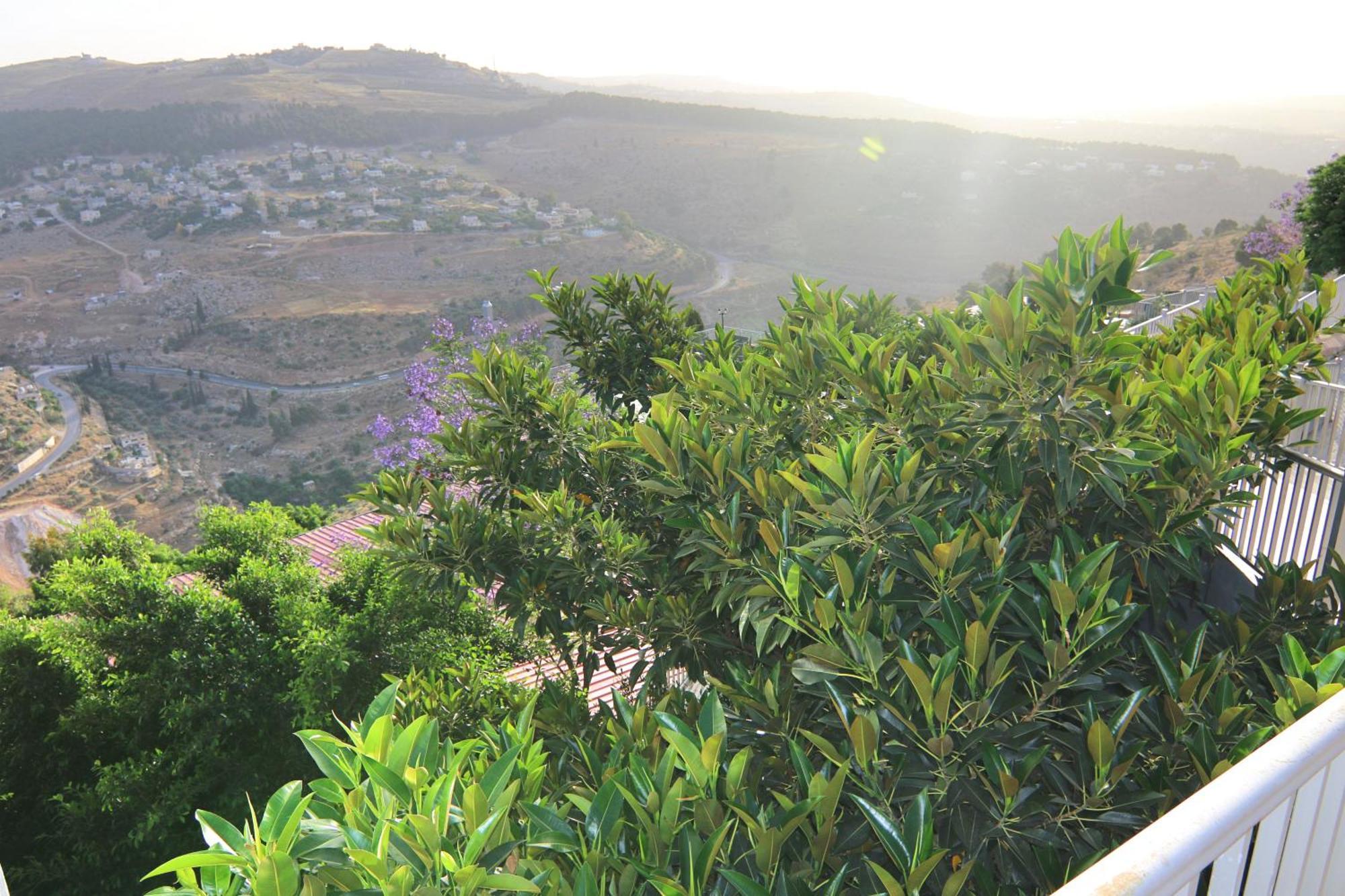 עמאן Sindyan Resort מראה חיצוני תמונה